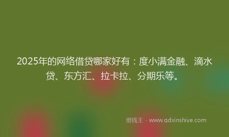 2025年的网络借贷哪家好有：度小满金融、滴水贷、东方汇、拉卡拉、分期乐等。