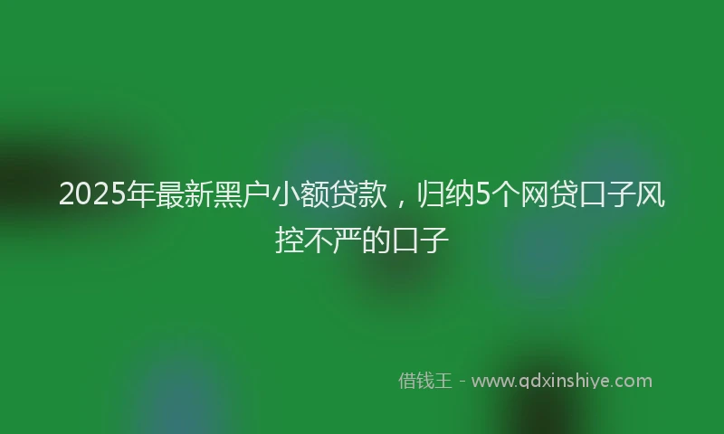 2025年最新黑户小额贷款，归纳5个网贷口子风控不严的口子