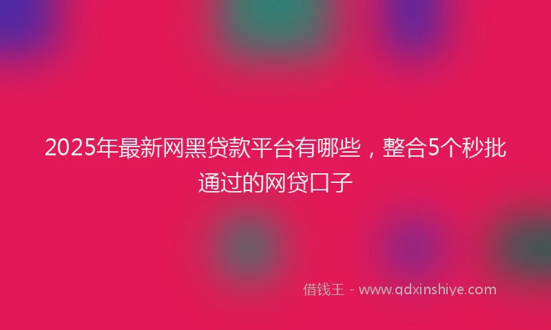 2025年最新网黑贷款平台有哪些，整合5个秒批通过的网贷口子
