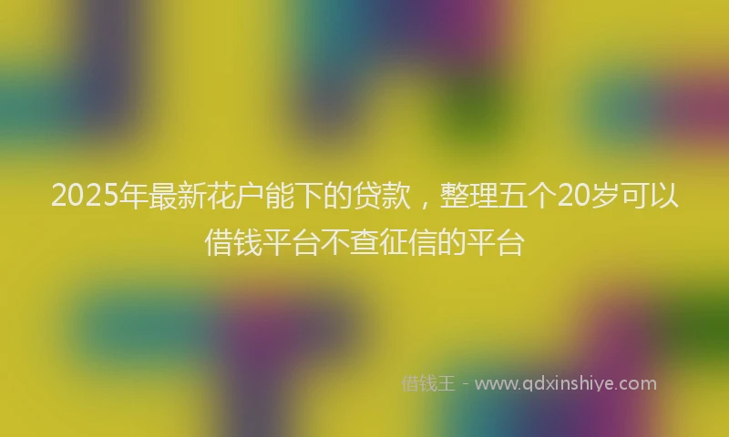 2025年最新花户能下的贷款，整理五个20岁可以借钱平台不查征信的平台