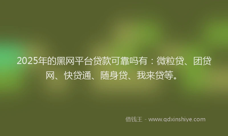 2025年的黑网平台贷款可靠吗有：微粒贷、团贷网、快贷通、随身贷、我来贷等。