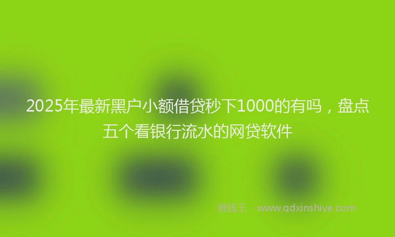 2025年最新黑户小额借贷秒下1000的有吗，盘点五个看银行流水的网贷软件