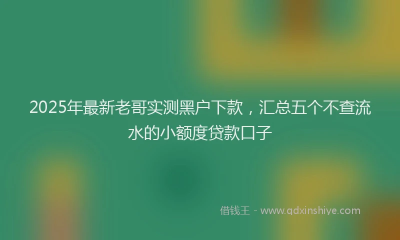 2025年最新老哥实测黑户下款，汇总五个不查流水的小额度贷款口子