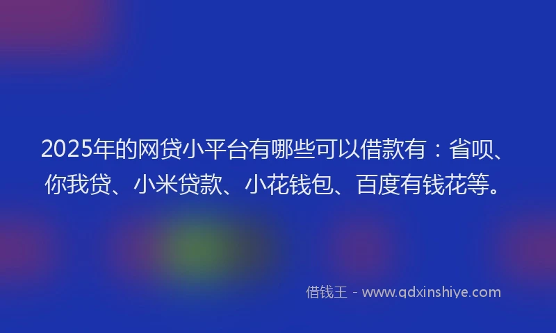 2025年的网贷小平台有哪些可以借款有：省呗、你我贷、小米贷款、小花钱包、百度有钱花等。