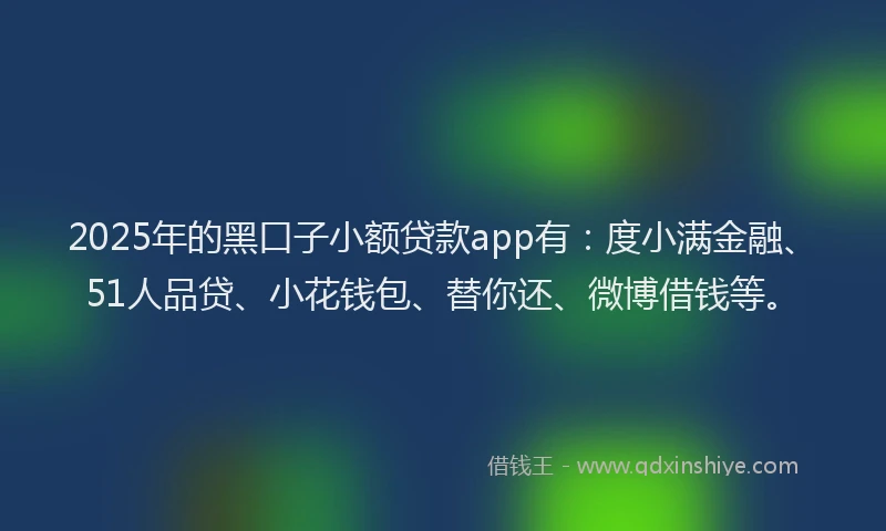 2025年的黑口子小额贷款app有：度小满金融、51人品贷、小花钱包、替你还、微博借钱等。