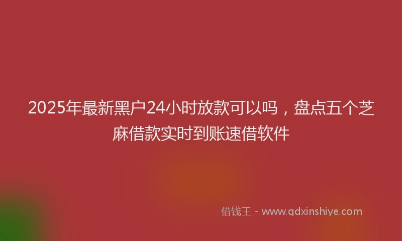 2025年最新黑户24小时放款可以吗，盘点五个芝麻借款实时到账速借软件