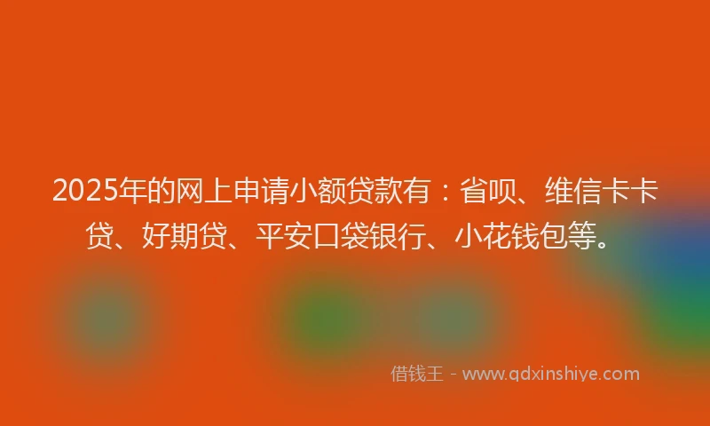 2025年的网上申请小额贷款有：省呗、维信卡卡贷、好期贷、平安口袋银行、小花钱包等。