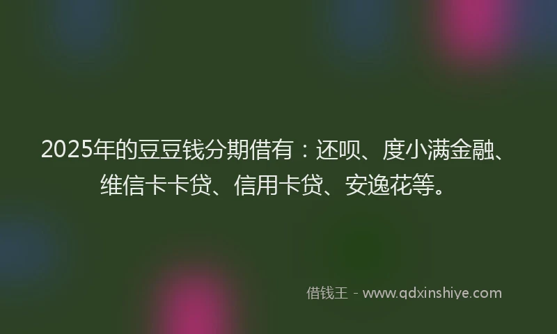 2025年的豆豆钱分期借有：还呗、度小满金融、维信卡卡贷、信用卡贷、安逸花等。