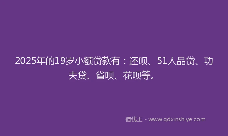 2025年的19岁小额贷款有：还呗、51人品贷、功夫贷、省呗、花呗等。