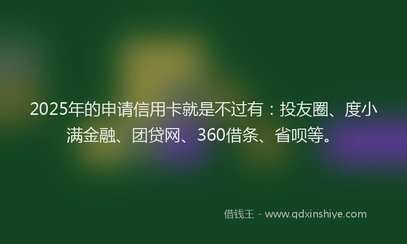 2025年的申请信用卡就是不过有：投友圈、度小满金融、团贷网、360借条、省呗等。