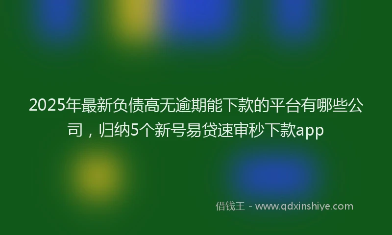 2025年最新负债高无逾期能下款的平台有哪些公司，归纳5个新号易贷速审秒下款app