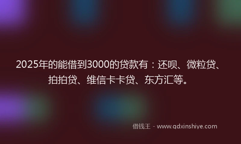 2025年的能借到3000的贷款有：还呗、微粒贷、拍拍贷、维信卡卡贷、东方汇等。
