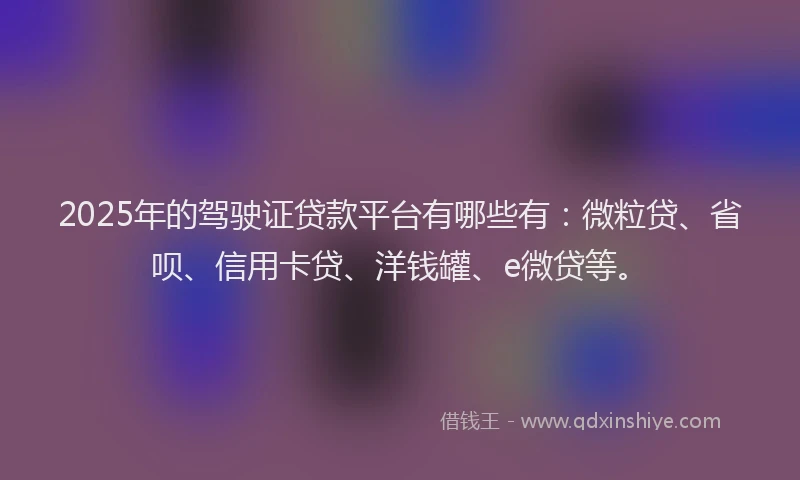 2025年的驾驶证贷款平台有哪些有：微粒贷、省呗、信用卡贷、洋钱罐、e微贷等。