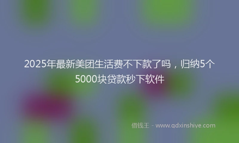 2025年最新美团生活费不下款了吗，归纳5个5000块贷款秒下软件