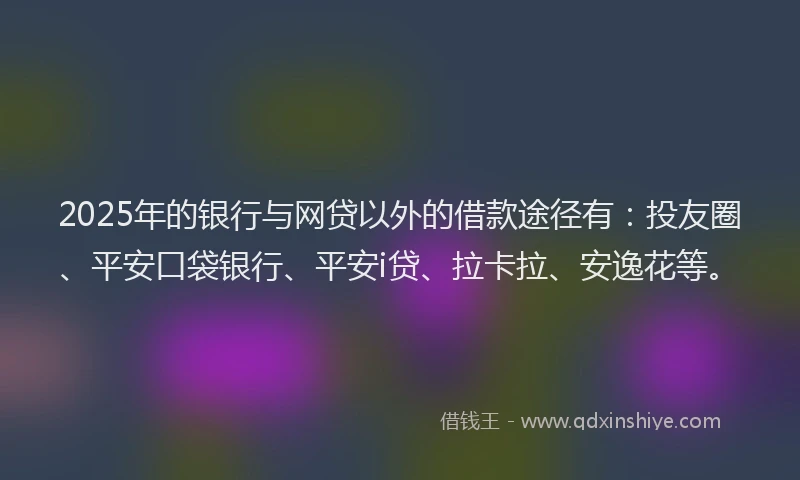 2025年的银行与网贷以外的借款途径有：投友圈、平安口袋银行、平安i贷、拉卡拉、安逸花等。
