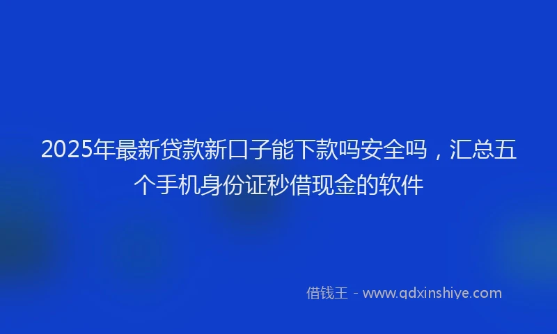 2025年最新贷款新口子能下款吗安全吗，汇总五个手机身份证秒借现金的软件
