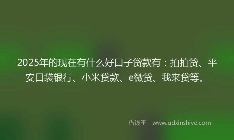 2025年的现在有什么好口子贷款有：拍拍贷、平安口袋银行、小米贷款、e微贷、我来贷等。