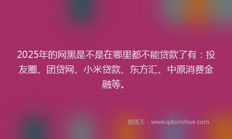 2025年的网黑是不是在哪里都不能贷款了有：投友圈、团贷网、小米贷款、东方汇、中原消费金融等。