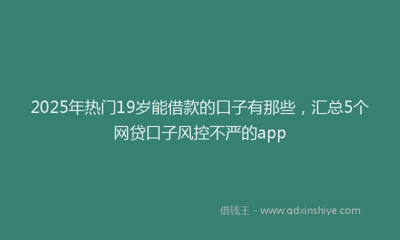2025年热门19岁能借款的口子有那些，汇总5个网贷口子风控不严的app