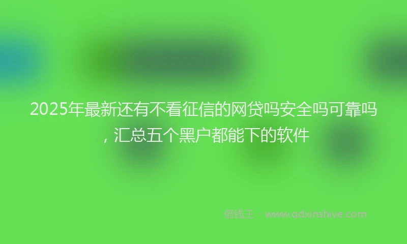 2025年最新还有不看征信的网贷吗安全吗可靠吗，汇总五个黑户都能下的软件