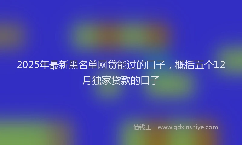2025年最新黑名单网贷能过的口子，概括五个12月独家贷款的口子