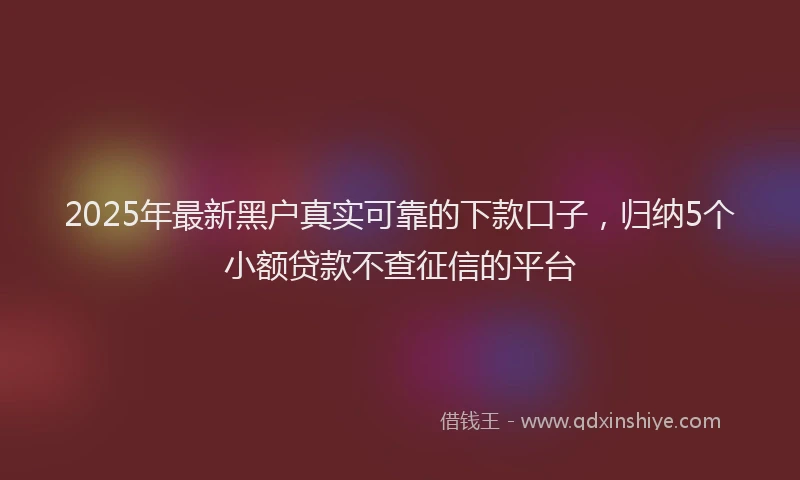 2025年最新黑户真实可靠的下款口子，归纳5个小额贷款不查征信的平台