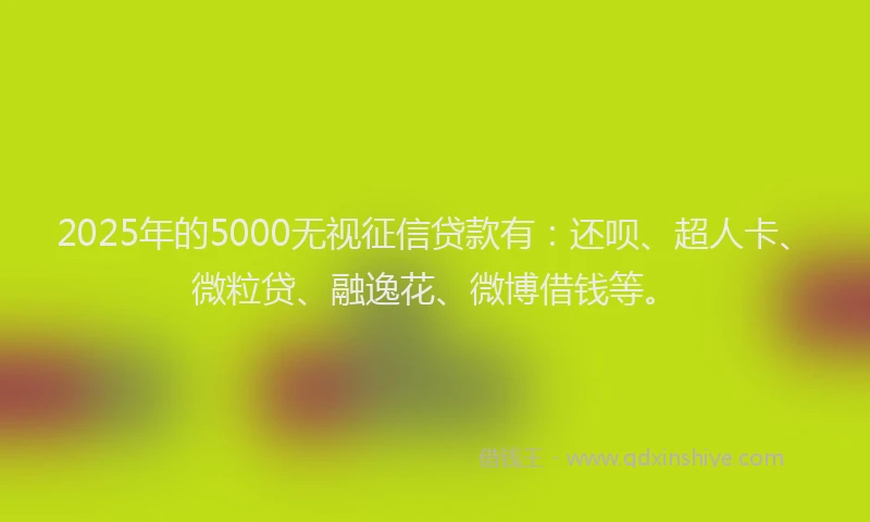 2025年的5000无视征信贷款有：还呗、超人卡、微粒贷、融逸花、微博借钱等。