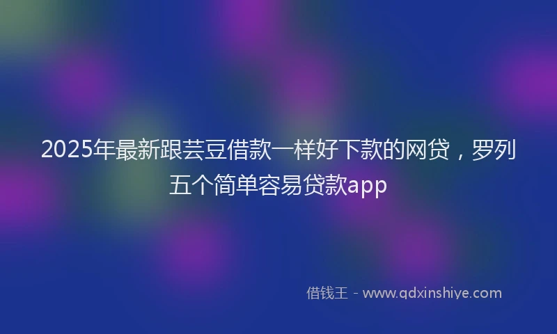 2025年最新跟芸豆借款一样好下款的网贷，罗列五个简单容易贷款app