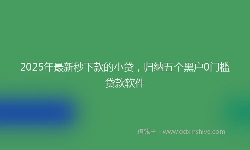 2025年最新秒下款的小贷，归纳五个黑户0门槛贷款软件