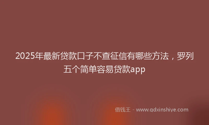 2025年最新贷款口子不查征信有哪些方法，罗列五个简单容易贷款app