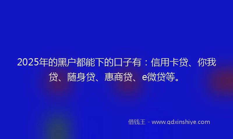 2025年的黑户都能下的口子有：信用卡贷、你我贷、随身贷、惠商贷、e微贷等。