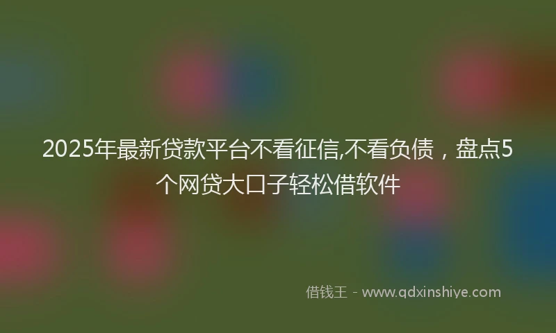 2025年最新贷款平台不看征信,不看负债，盘点5个网贷大口子轻松借软件