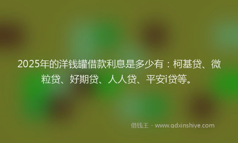 2025年的洋钱罐借款利息是多少有：柯基贷、微粒贷、好期贷、人人贷、平安i贷等。