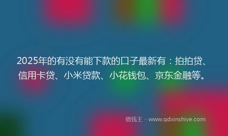 2025年的有没有能下款的口子最新有：拍拍贷、信用卡贷、小米贷款、小花钱包、京东金融等。
