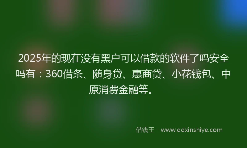 2025年的现在没有黑户可以借款的软件了吗安全吗有：360借条、随身贷、惠商贷、小花钱包、中原消费金融等。