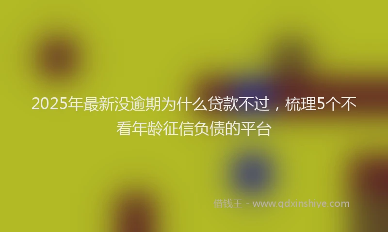 2025年最新没逾期为什么贷款不过，梳理5个不看年龄征信负债的平台
