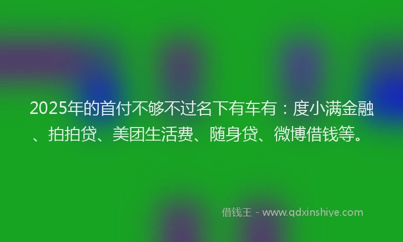2025年的首付不够不过名下有车有：度小满金融、拍拍贷、美团生活费、随身贷、微博借钱等。