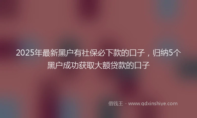 2025年最新黑户有社保必下款的口子，归纳5个黑户成功获取大额贷款的口子