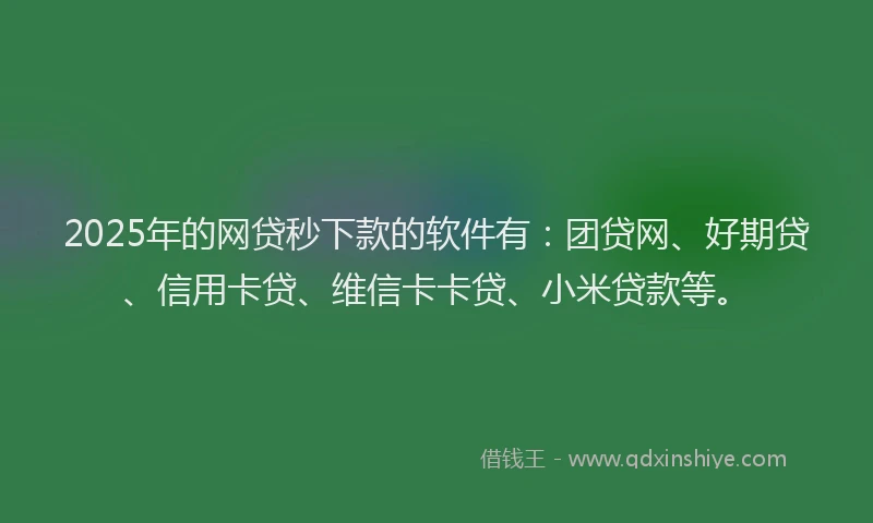 2025年的网贷秒下款的软件有：团贷网、好期贷、信用卡贷、维信卡卡贷、小米贷款等。