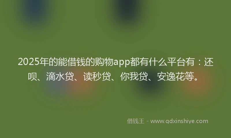 2025年的能借钱的购物app都有什么平台有：还呗、滴水贷、读秒贷、你我贷、安逸花等。