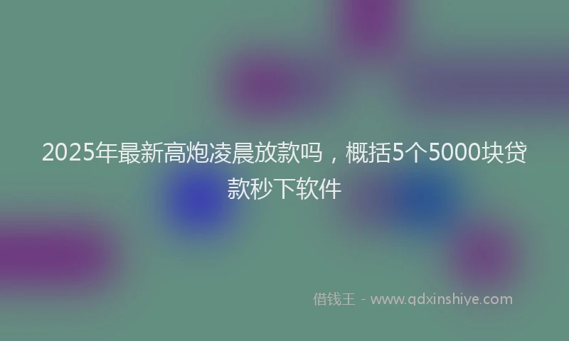 2025年最新高炮凌晨放款吗，概括5个5000块贷款秒下软件