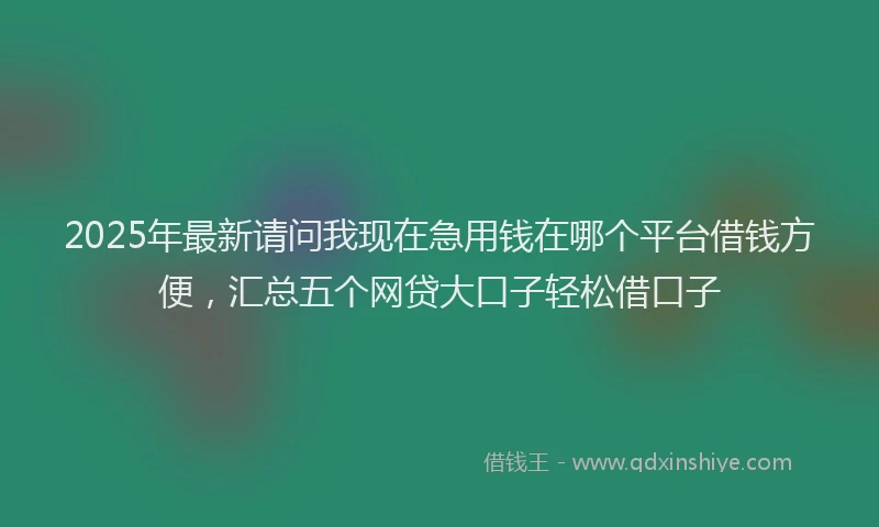 2025年最新请问我现在急用钱在哪个平台借钱方便，汇总五个网贷大口子轻松借口子