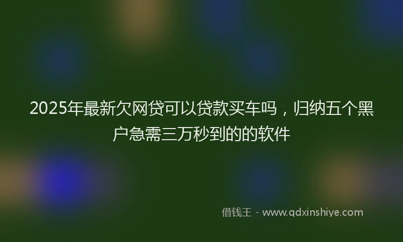 2025年最新欠网贷可以贷款买车吗，归纳五个黑户急需三万秒到的的软件