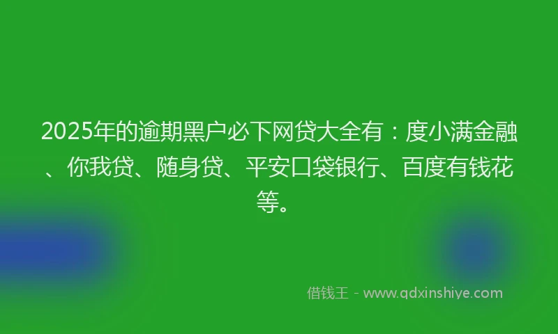 2025年的逾期黑户必下网贷大全有：度小满金融、你我贷、随身贷、平安口袋银行、百度有钱花等。
