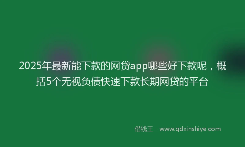 2025年最新能下款的网贷app哪些好下款呢，概括5个无视负债快速下款长期网贷的平台