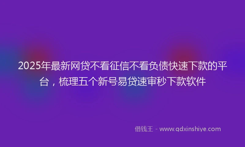 2025年最新网贷不看征信不看负债快速下款的平台，梳理五个新号易贷速审秒下款软件