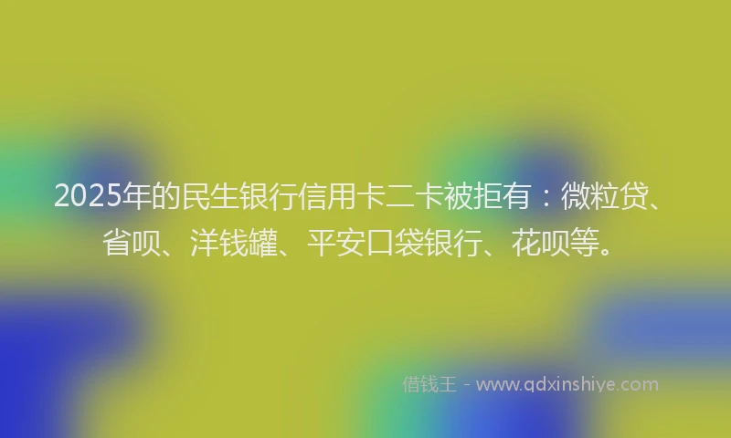 2025年的民生银行信用卡二卡被拒有：微粒贷、省呗、洋钱罐、平安口袋银行、花呗等。