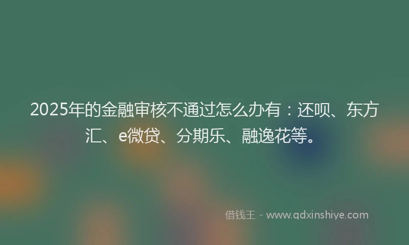 2025年的金融审核不通过怎么办有：还呗、东方汇、e微贷、分期乐、融逸花等。