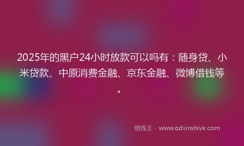 2025年的黑户24小时放款可以吗有：随身贷、小米贷款、中原消费金融、京东金融、微博借钱等。