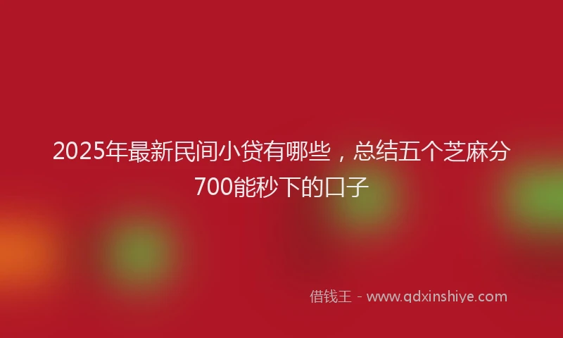 2025年最新民间小贷有哪些，总结五个芝麻分700能秒下的口子